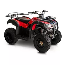  Cuatrimoto Beast 150 Izuka 2022