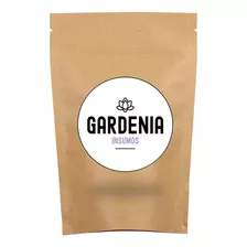 Arcilla Verde 500gr (cosmetica Natural)