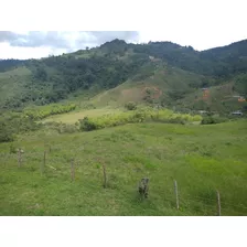 Venta Finca Vereda Las Delicias, Norte Del Valle