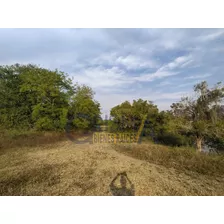 Hermoso Rancho En Venta Ubicado En El Kilómetro 7 De La Carretera Que Conecta La Victoria Con Cazones