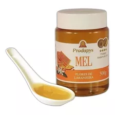 Mel Flor De Laranjeira - Pote 500g - Melhor Do Mundo