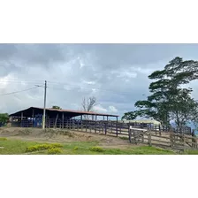 Finca En Venta En Salazar . Cod 1047