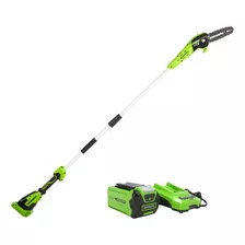 Greenworks Poste Inalmbrico De 40 V Y 8 Pulgadas, Batera De