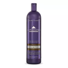 Shampoo Matizador Violeta Silver La Puissance X 1000 Ml
