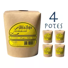 Miel De Abejas De Puerto Varas / 4 Potes / Envío Gratis