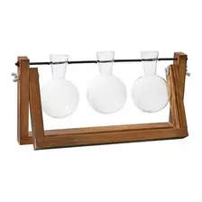 3xclear Glass Planter Bulb Terrarium Vaso Decoração