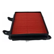 Filtro Aire Xr190 Honda Protech