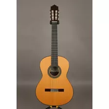 Guitarra Española Paco Castillo 204. Incluye Case