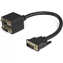 Startech.com Cable Divisor Dvi De 1 Pie Para Mf Dvid Y 2x Dv