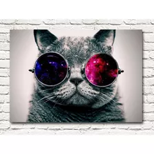 Cuadro Decorativo Gato Con Gafas