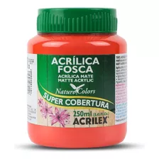 Tinta Acrílica Fosca Artesanato Acrilex 250ml Ótima Cobertur Cor Laranja