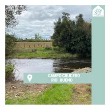 Campo Río Bueno- Crucero 9,1 Ha. - Rio Sur Corretajes