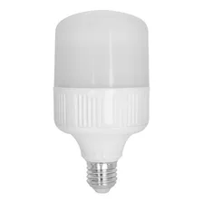 Foco Led Alta Potencia 20 W Voltech 46225 Color De La Luz Blanco