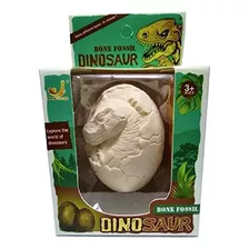 Ovo De Deinossauro Na Caixa