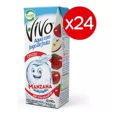 Pack 24- Vivo Agua Manzana 190 Ml