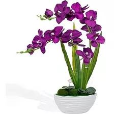 1 Kg De Sustrato Para Orquídeas 