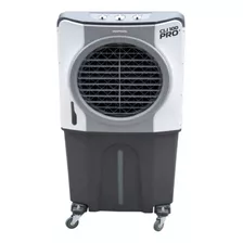 Climatizador Evaporativo Pro2 Cli 100 Litros 210w - Ventisol Cor Branco-cinza 127v