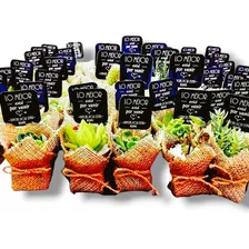 25 Mini Cactus Suculentas Souvenir Arpillera Eventos Isiflor