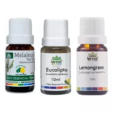 Kit Aromaterapia 3 Óleo Essencial Wnf - Expectorante Rinite 