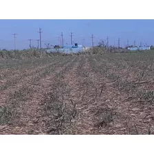 Vendo Esta Finca De 100 Tareas En Los Llanos De Guerra