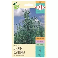 Sementes De Alecrim Rosmarinho 50mg - Isla