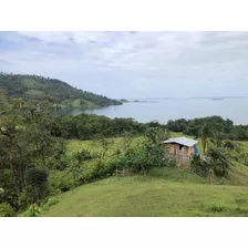 Finca En Bocas Del Toro