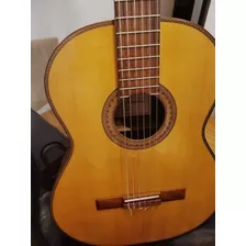 Guitarra Alpujarra 70 Ec Ampli Artec