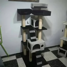 Gimnasio Para Gato Castillo