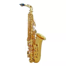 Saxo Alto Coda Cas-110 + Accesorios