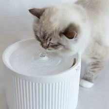 Bebedouro E Fonte De Água Automática Para Gatos Com Design Cor Branco