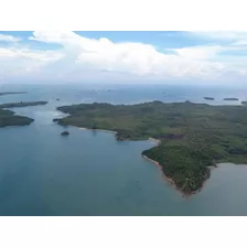 Venta De Terreno De 43 Has En Isla Del Rey, Taboga 21-2193