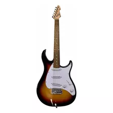 Guitarra Electrica Raptor Plus Sss