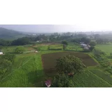 Finca De 58 H.a, 90% Plana, Galpones, Pozo Propiedad Privada En Bejuma Carabobo 2