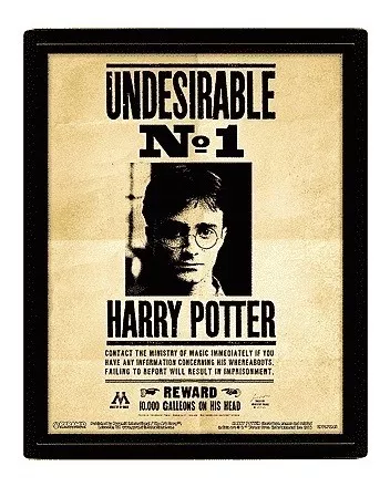 Poster 3d Harry Potter (potter / Sirius)