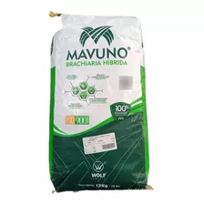 Sementes De Capim Mavuno Saco Com 12 Kg Valor Cultural 51%