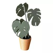 Posavasos Monstera Decoracion