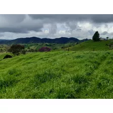 Venta Finca En Santa De Osos, Vereda Santa Barbara