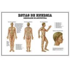 Mapa Hd 65x100cm Rotas De Energia No Corpo Humano Acupontos