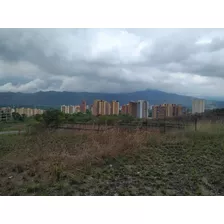 En Venta Barato Terreno Ubicado En La Urb. Jardin Mañongo 