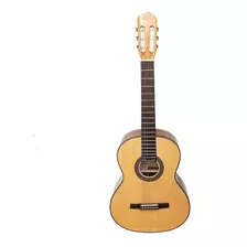 Guitarra Clasica Winzz Ac88 