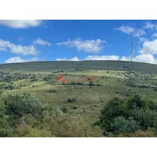 Venta - Campito De 86 Hectáreas En Las Sierras