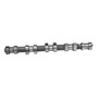 Pion (vvt) Escape Chevrolet Malibu L4 2.4l 08-13 Walker