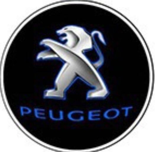 Pomo Palanca Cambios Para Peugeot 106-406 806 107-307