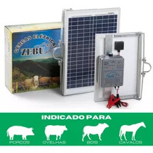Eletrificador Solar Zebu Aparelho De Choque Sítios Fazendas