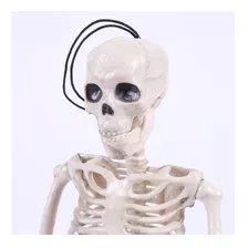 Esqueleto Humano Calavera 38cm