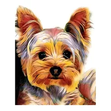 Kit De Pintura Con Diamantes 5d Perro Dibujo 40x30cm