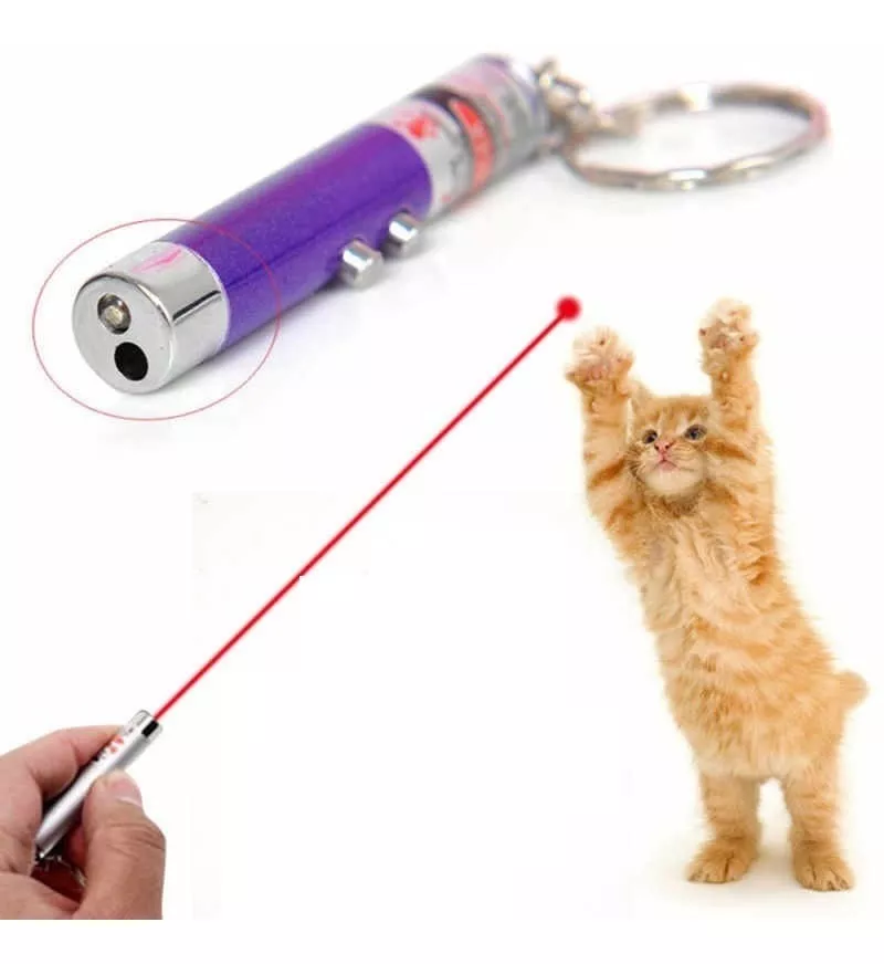 Brinquedo Cachorros Gatos Laser Interativo Pet Anti Stress 