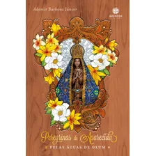 Peregrinas De Aparecida: Pelas Águas De Oxum, De Barbosa Júnior, Ademir. Editora Aruanda Eireli, Capa Mole Em Português, 2019