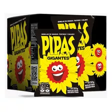 Pipas Gigantes X 12 Unidades Semillas Girasol