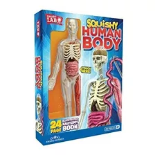 Smartlab Toys Squishy Human Body